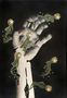 Eine Hand ist in Schwarz-Weiß dargestellt, mit grünen und goldenen Verzierungen und kleinen Sternen umgeben., Buch