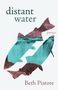 Beth Piatote: Distant Water, Buch