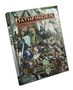 Raychael Allor: Pathfinder RPG Npc Core (P2), Buch