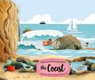Radka Piro: Piro, R: Discovering the Amazing World of the Coast, Buch