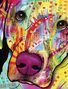 Dean Russo: Dean Russo Labrador Journal, Buch
