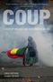 Linda Farthing: Coup, Buch