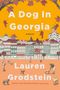 Lauren Grodstein: A Dog in Georgia, Buch