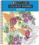 Publications International Ltd: Brain Games - Color by Number: Birds, Buch