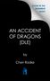 Cheri Radke: An Accident of Dragons: Deluxe Limited Edition, Buch