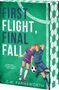 C W Farnsworth: First Flight, Final Fall, Buch