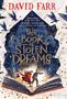 David Farr: The Book of Stolen Dreams, Buch