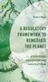 Text: "A Regulatory Framework to Remediate the Planet", "Strategies, Outcomes and Implications". Grünes, künstlerisches Muster.