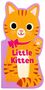 Maggie Fischer: Little Kitten, Buch
