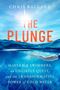 "THE PLUNGE" von Chris Ballard, über Schwimmer und die Kraft von kaltem Wasser. Sonne über Wasser, Taucher darunter., Buch