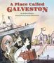 Andrea Shapiro: A Place Called Galveston, Buch