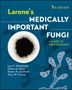 Lars F. Westblade: Larone's Medically Important Fungi, Buch