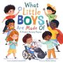 Susanna Leonard Hill: What Little Boys Are Made Of, Buch