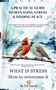 Titel: "A Practical Guide to Managing Stress & Finding Peace". Illustration von zwei Vögeln auf einem Ast., Buch