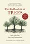 Peter Wohlleben: The Hidden Life of Trees, Buch