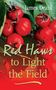 James Deahl: Red Haws to Light the Field, Buch