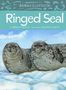 William Flaherty: Animals Illustrated: Ringed Seal, Buch