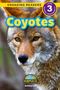 Kit Caudron-Robinson: Coyotes, Buch