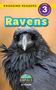 Aj Knight: Ravens, Buch