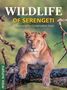 Jean du Plessis: Wildlife of Serengeti & Ngorongoro Conservation Area, Buch, Buch