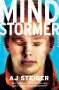 A. J. Steiger: Mindstormer, Buch