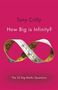 Tony Crilly: How Big is Infinity?, Buch