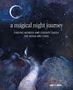 Amy T Won: A Magical Night Journey, Buch