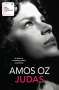 Amos Oz: Judas, Buch