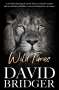David Bridger: Wild Times, Buch