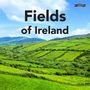 Sarah O'Connor: Fields of Ireland, Buch, Buch