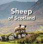 Text: "Sheep of Scotland". Zwei Schafe stehen auf einem grünen Hügel, im Hintergrund sind Berge zu sehen., Buch