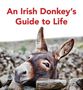 Text: "An Irish Donkey's Guide to Life." Ein Eselkopf schaut über eine Steinmauer., Buch
