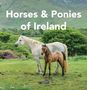 Text: "Horses & Ponies of Ireland". Weiße Stute und braunes Fohlen auf grüner Wiese vor Hügeln und Bäumen., Buch