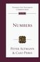 Caio Peres: Numbers, Buch