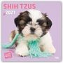 Myrna Huijing: Sweet Shih Tzu - Shih Tzu 2021 - 18-Monatskalender, Div.