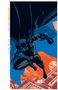Jeph Loeb: Absolute Batman: Haunted Knight, Buch