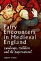 Text: "FAIRY ENCOUNTERS IN MEDIEVAL ENGLAND. LANDSCAPE, FOLKLORE AND THE SUPERNATURAL. JEREMY HARTE". Mittelalterliches Glasfenster., Buch