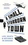 Andrew Harding: A Small, Stubborn Town, Buch