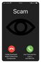 Ivan Franceschini: Scam, Buch, Buch