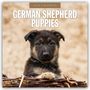 Red Robin: German Shepherd Puppies 2026 Square Wall Calendar, Buch