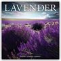 Avonside Publishing: Lavender - Lavendel 2025 - 16-Monatskalender, Kalender