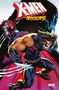 Text: "X-MEN APOCALYPSE". Illustration: Zwei Superhelden, einer mit Krallen in aggressiver Pose, der andere mit Helm und Umhang., Buch