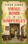 Lissa Evans: Small Bomb At Dimperley, Buch