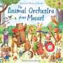 Sam Taplin: Animal Orchestra Plays Mozart, Buch