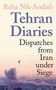 Titel: "Tehran Diaries: Dispatches from Iran under Siege" von Raha Nik-Andish. Ein Vogel fliegt über eine Stadt mit Rauchwolke., Buch