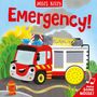 Miles Kelly: Emergency, Buch