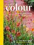 Titel: "A YEAR OF colour". Text: "How to create a bold and bright garden". Blumen in leuchtenden Farben. Links gelber Streifen.