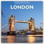 Red Robin: London 2026 Square Wall Calendar, Buch