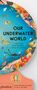 Sue Lowell Gallion: Our Underwater World, Buch