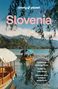 „Ljubljana walking tours, Guide to Lake Bled, Choose your outdoor adventure“. Boot auf See, Berge und blauer Himmel., Buch